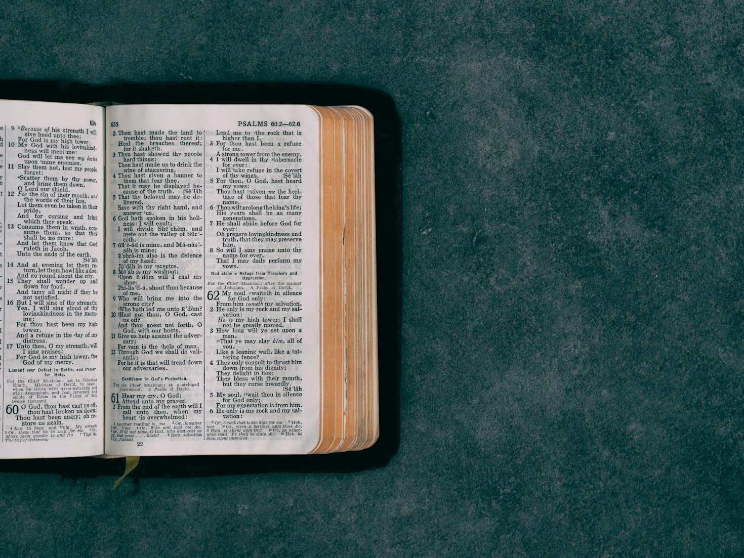 L’importanza della ricerca nella comprensione della Bibbia